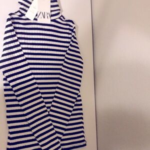 Zara stripped turtle neck